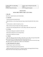 Giáo án Sinh học-  bài 36- Sinh học 11 cơ bản-  Phát triển ở thực vật có hoa