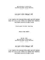 Các nhân tố ảnh hưởng đến quyết định đầu tư của các công ty niêm yết trong ngành cao su ở Việt Nam (Luận văn thạc sĩ)