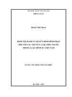 Định tội danh và quyết định hình phạt đối với các tội vô ý làm chết người trong luật hình sự việt nam 