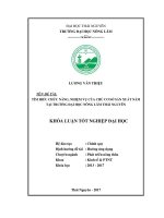 Tìm hiểu chức năng, nhiệm vụ của chủ cơ sở sản xuất nấm tại Trường Đại Học Nông Lâm Thái Nguyên (Khóa luận tốt nghiệp)