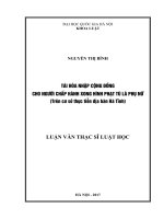 Tái hòa nhập cộng đồng cho người chấp hành xong hình phạt tù là phụ nữ (trên cơ sở thực tiễn địa bàn tỉnh hà tĩnh) 