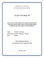 Đầu tư ra nước ngoài của một số NHTMCP Việt Nam Bài học kinh nghiệm cho ngân hàng Techcombank (Luận văn thạc sĩ)