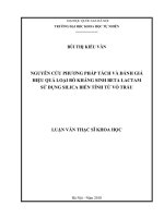 Nghiên cứu phương pháp tách và đánh giá hiệu quả loại bỏ kháng sinh beta lactam sử dụng silica biến tính từ vỏ trấu 