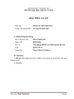 Tiểu luận Môn Kinh tế môi trường về Giải pháp hạn chế ô nhiễm môi trường tại huyện Ba Chẽ, tỉnh Quảng Ninh