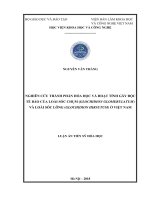 Nghiên cứu thành phần hóa học và hoạt tính gây độc tế bào của loài Sóc chụm (Glochidion glomerulatum) và loài Sóc lông (Glochidion hirsutum) ở Việt Nam