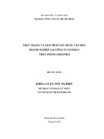 THỰC TRẠNG VÀ GIẢI PHÁP XÂY DỰNG VĂN HÓA DOANH NGHIỆP TẠI CÔNG TY CỔ PHẦN THỰC PHẨM CHOLIMEX