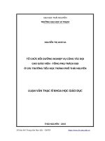 Tổ chức bồi dưỡng nghiệp vụ công tác đội cho giáo viên   tổng phụ trách đội ở các trường tiểu học thành phố thái nguyên 