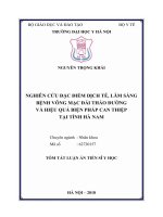 TÓM tắt nghiên cứu đặc điểm dịch tễ, lâm sàng bệnh võng mạc đái tháo đường và hiệu quả biện pháp can thiệp tại tỉnh hà nam
