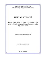 Phân tích định lượng các yếu tố ảnh hưởng tới lạm phát tại Việt Nam (Luận văn thạc sĩ)