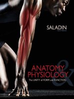 Saladin anatomy and physiology unity of form and function 6th c2012 1 