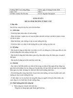 Giáo án Sinh học - Bài 34- Sinh học 11 cơ bản - Sinh trưởng ở thực vật