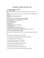 Biện pháp tổ chức thi công cầu