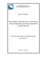 Phát triển nhân lực tại công ty trách nhiệm hữu hạn một thành viên cà phê việt đức, tỉnh đắk lắk