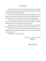 Nghiên cứu tổng hợp vật liệu nano mnfe2o4 để xử lí phẩm màu hữu cơ trong nước