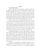 Các tội xâm phạm tình dục trong luật hình sự việt nam 