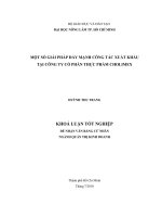 MỘT SỐ GIẢI PHÁP ĐẨY MẠNH CÔNG TÁC XUẤT KHẨU TẠI CÔNG TY CỔ PHẦN THỰC PHẨM CHOLIMEX