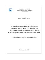 Giải pháp marketing cho sản phẩm tín dụng hộ gia đình và cá nhân tại ngân hàng nông nghiệp và phát triển nông thôn việt nam   chi nhánh quảng nam