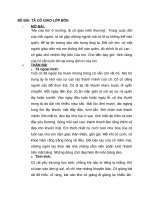 TAP LAM VAN LOP NAM  TA CO GIAO LOP BON