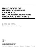 Handbook of heterogeneous catalytic hydrogenation for organic synthesis (2001) 