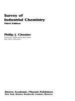 Survey of industrial chemistry (3rd edition) 