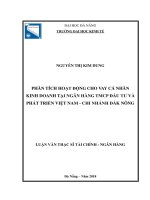 Phân tích hoạt động cho vay cá nhân kinh doanh tại ngân hàng TMCP đầu tư và phát triển việt nam   chi nhánh đắk nông