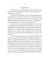 Nghiên cứu điều trị bệnh lý nội mô giác mạc bằng phẫu thuật ghép nội mô DSAEK (Luận án tiến sĩ)