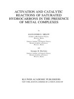Activation and catalytic reactions of saturated hydrocarbons in the presence of metal complexes (2000) 