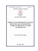 Nghiên cứu đặc điểm dịch tễ, lâm sàng bệnh võng mạc đái tháo đường và hiệu quả biện pháp can thiệp tại tỉnh Hà Nam (Luận án tiến sĩ)