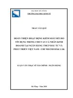 Hoàn thiện hoạt động kiểm soát rủi ro tín dụng trong cho vay cá nhân kinh doanh tại ngân hàng TMCP đầu tư và phát triển việt nam – chi nhánh đắk lắk