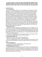 CHUYÊN ĐỀ: SỬ DỤNG TÍNH ĐƠN ĐIỆU HÀM SỐ GIẢI PHƯƠNG TRÌNH,