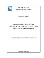 Đào tạo nguồn nhân lực tại ngân hàng TMCP đầu tƣ và phát triển việt nam   chi nhánh đắk lắk