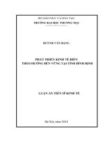 Phát triển kinh tế biển theo hướng bền vững tại tỉnh bình định FILE gốc