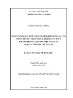 Định lượng đồng thời paracetamol, ibuprofen, cafein trong thuốc Cadiltamol F, Bidiipalvic bằng phương pháp sắc kí lỏng hiệu năng cao và quang phổ hấp thụ phân tử (Luận văn thạc sĩ)