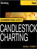 Visual guide to candlestick charting (2012) 
