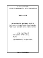 Phát triển dịch vụ bảo lãnh tại Ngân hàng TMCP Đầu tư và Phát triển Việt Nam  Chi nhánh nam Thái Nguyên (LV thạc sĩ)