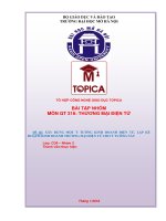 Bài tập nhóm môn thương mại điện tử QT316 TOPICA