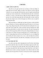 Mot so giai phap giup hoc sinh nam vung cach go dem 17 18