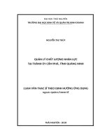 Quản lý chất lượng nhân lực tại thành ủy cẩm phả, tỉnh quảng ninh 