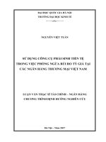 Sử dụng công cụ phái sinh tiền tệ trong việc phòng ngừa rủi ro tỷ giá tại các ngân hàng thương mại việt nam 