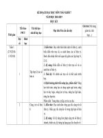 KHGD môn TOÁN KHỐI 7  NGUYỄN THỊ KIM ANH