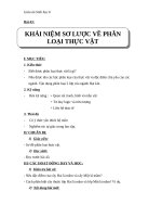 Giáo án Sinh học 6 bài 43: Khái niệm sơ lược về phân loại thực vật
