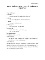 Giáo án Sinh học 6 bài 43: Khái niệm sơ lược về phân loại thực vật