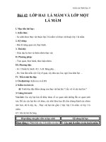 Giáo án Sinh học 6 bài 42: Lớp hai lá mầm và lớp 1 lá mầm