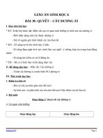 Giáo án Sinh học 6 bài 39: Quyết và cây dương xỉ