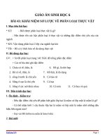 Giáo án Sinh học 6 bài 43: Khái niệm sơ lược về phân loại thực vật