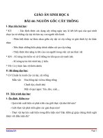 Giáo án Sinh học 6 bài 44: Sự phát triển của giới thực vật