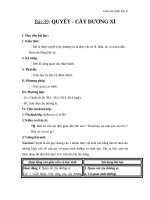 Giáo án Sinh học 6 bài 39: Quyết và cây dương xỉ