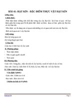 Giáo án Sinh học 6 bài 41: Hạt kín  Đặc điểm thực vật hạt kín