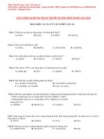 ĐỀ đặc BIỆT ( xman   ngọc anh )