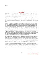 Tìm hiểu về nhân tố ánh sáng sinh thái học